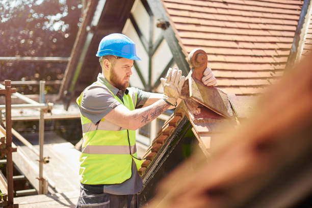 Best Roof Gutter Cleaning  in Progress Village, FL